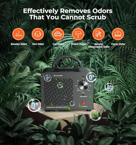 Best Car Odor Eliminator Machine