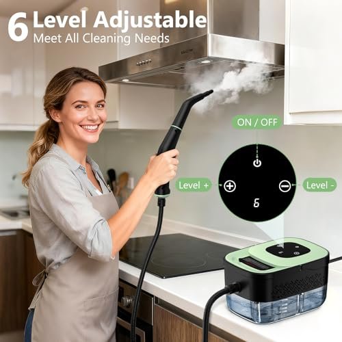Best Car Steam Cleaner