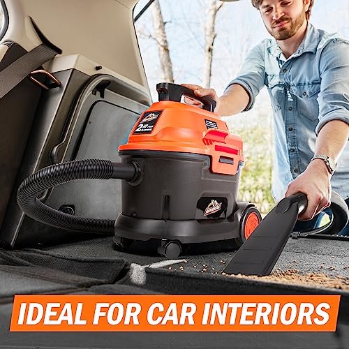 Best Car Detailing Vacuum