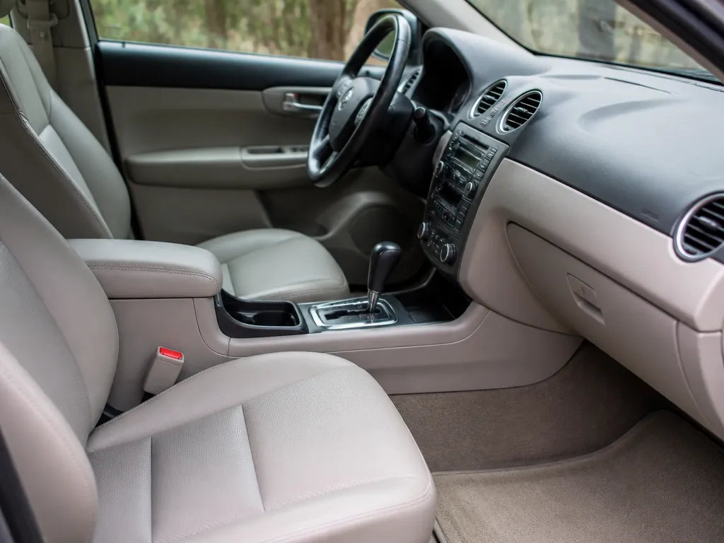how to remove mold from car interior